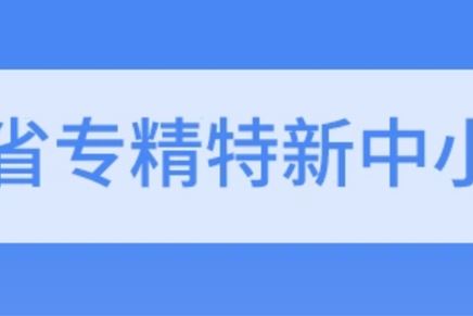 我司通過2021年度省級專精特新中小企業(yè)復(fù)核