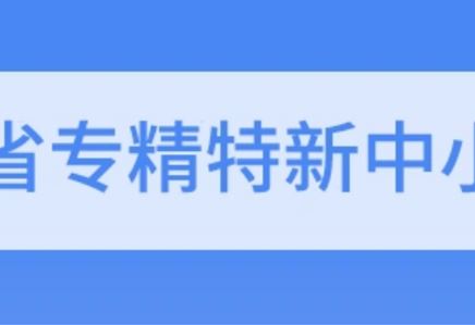 我司通過2021年度省級專精特新中小企業(yè)復(fù)核